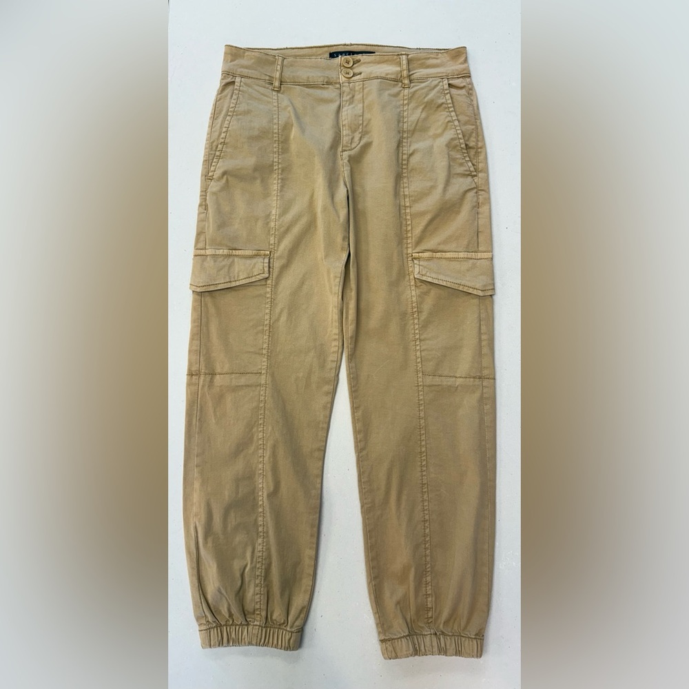 Sanctuary Cargo Chino Pants